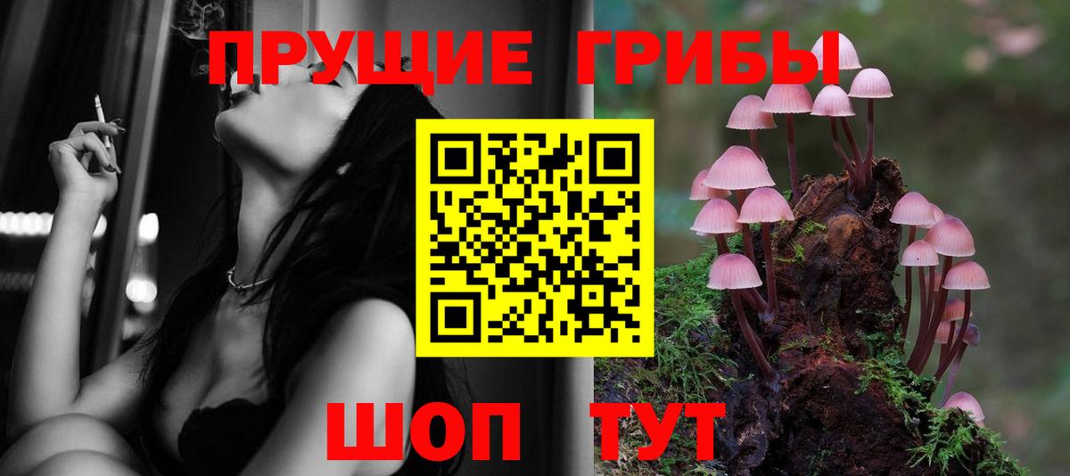 Псилоцибиновые грибы GOLDEN TEACHER  Псилоцибиновые грибы прущие грибы  Вход с VPN  Конаково 