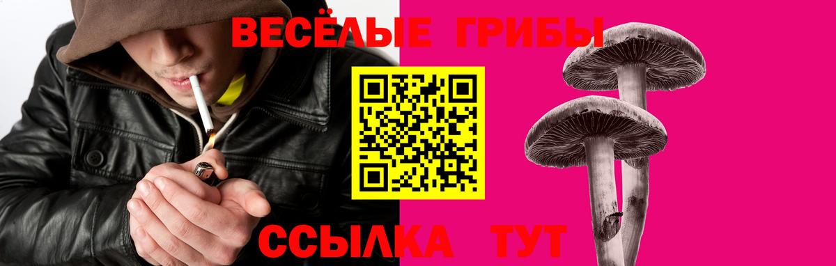 Галлюциногенные грибы мицелий Конаково